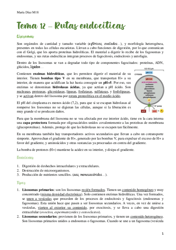 Miniatura del documento t12.pdf