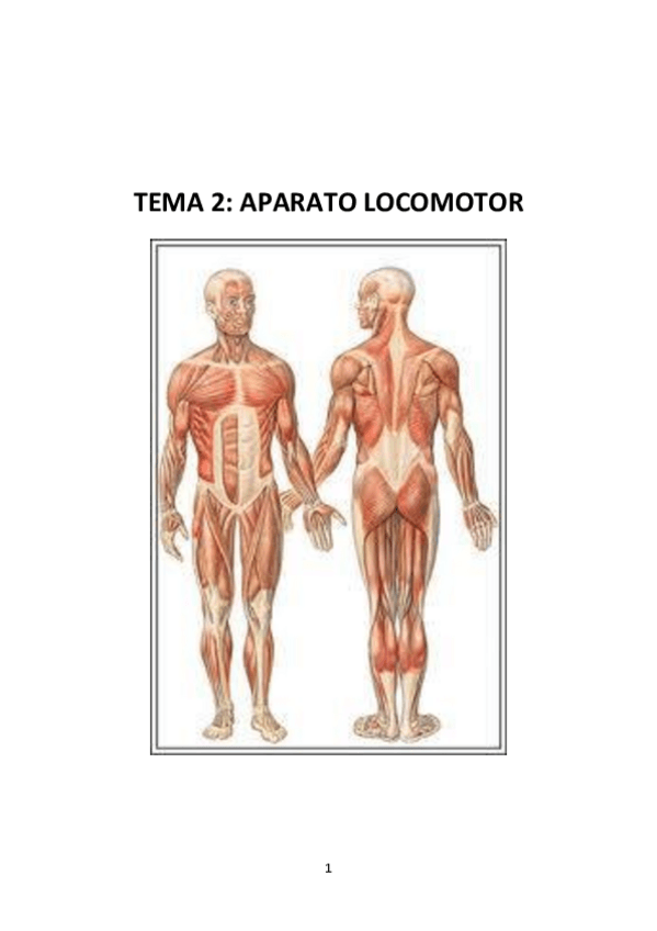 Miniatura del documento Tema-2Aparato-locomotor.pdf