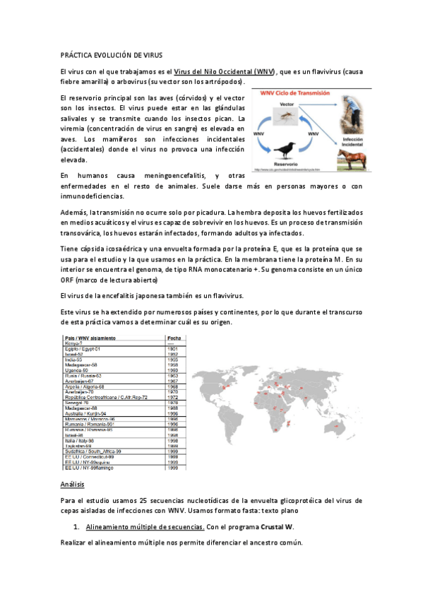 Miniatura del documento Evolucion-de-virus.pdf