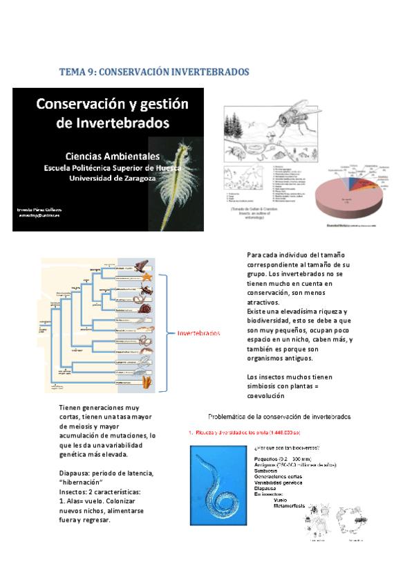 Miniatura del documento TEMA 9 Conservación invertebrados I.pdf