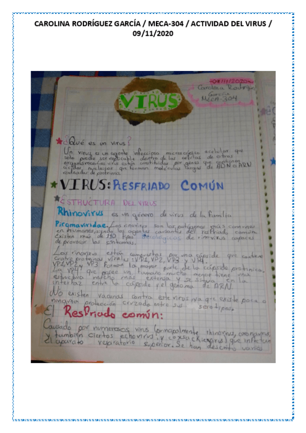 Miniatura del documento VIRUS.pdf