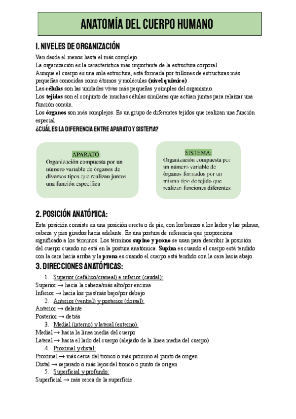 Miniatura del documento terminologia-resumen.pdf