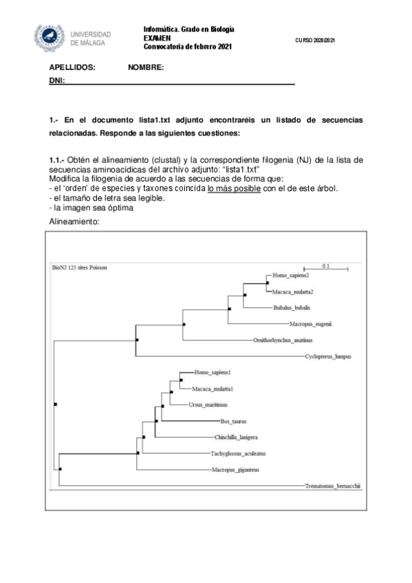 Miniatura del documento ExamenFebrero2021Genetica.pdf