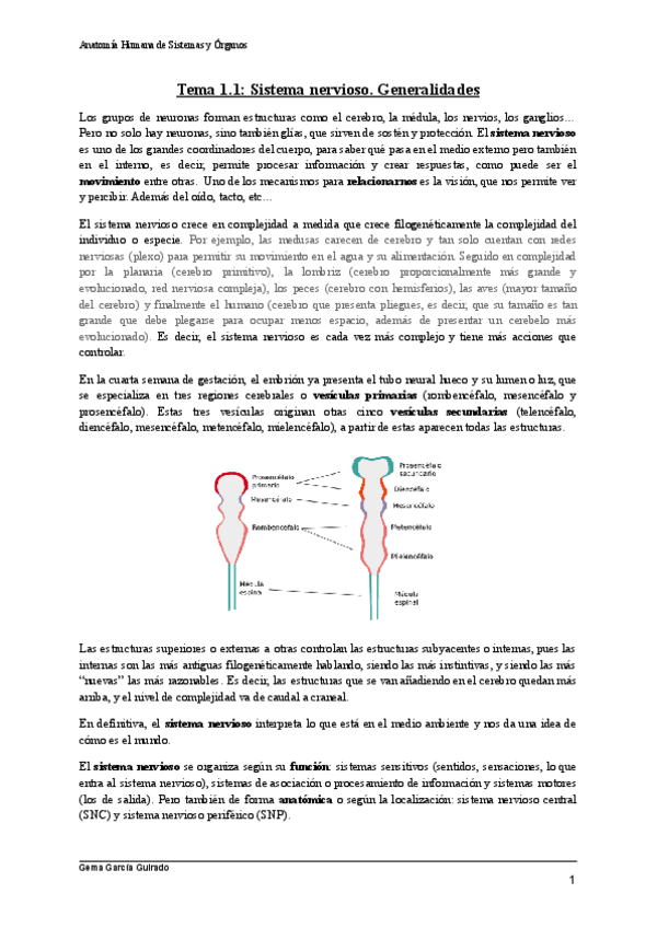 Miniatura del documento TEMA-1.pdf