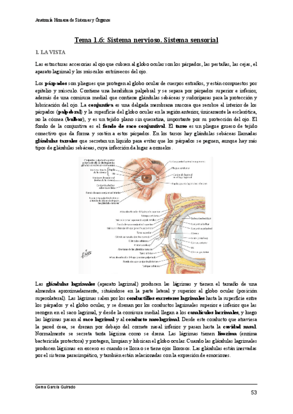 Miniatura del documento TEMA-1.pdf