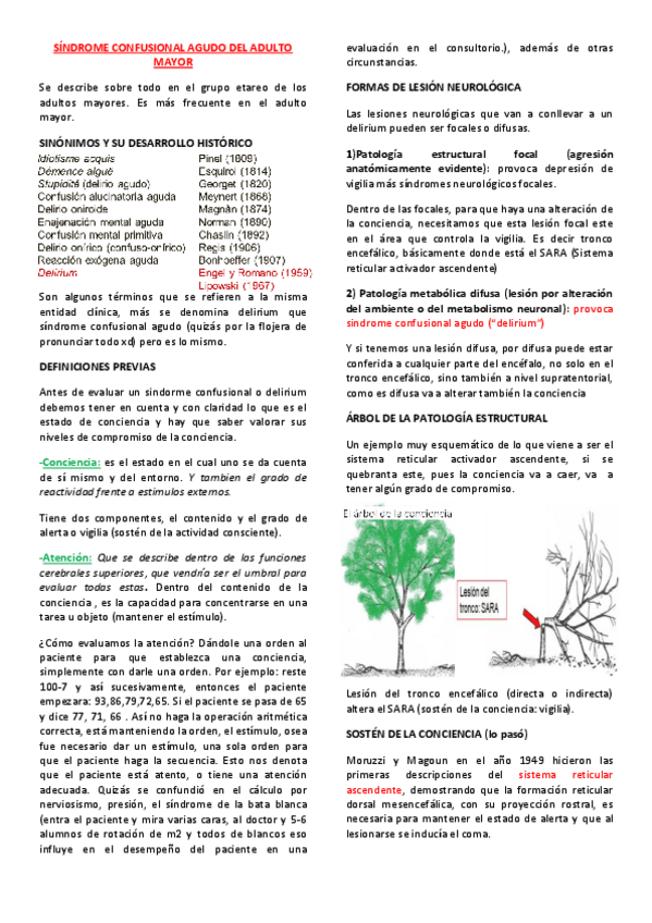 Miniatura del documento 21.pdf