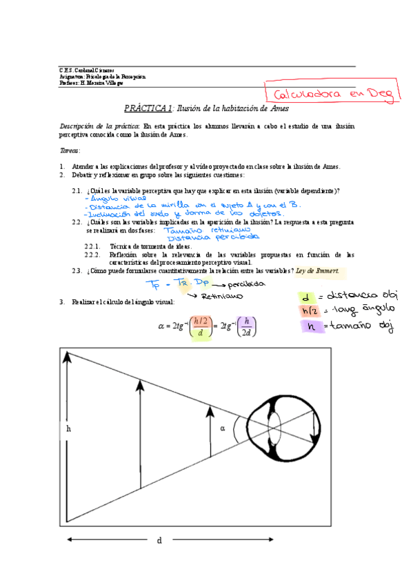 Miniatura del documento PRACTICA-1-TEMA-1-ILUSION-DE-AMES.pdf