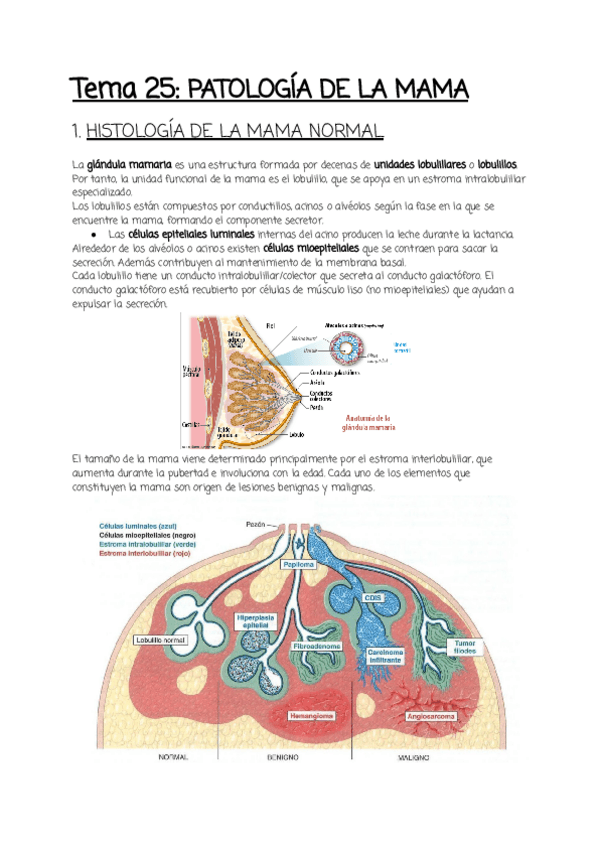Miniatura del documento Tema-25.pdf
