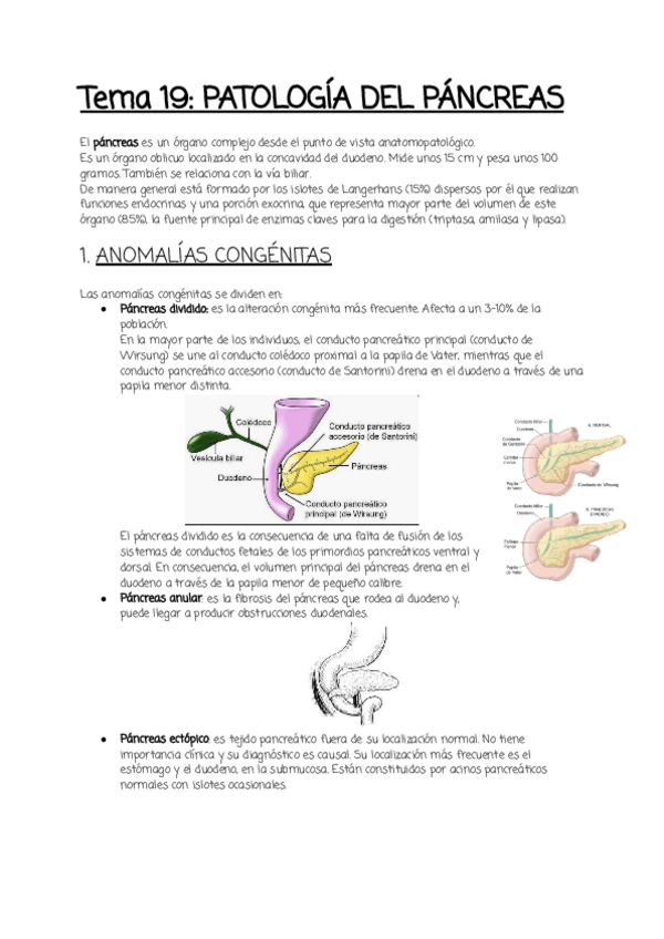 Miniatura del documento Tema-19.pdf