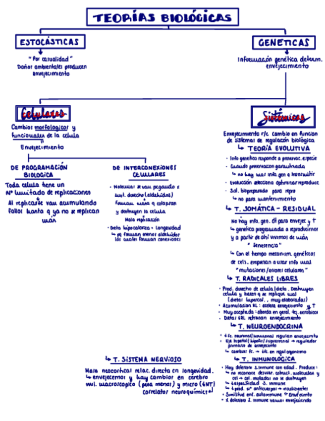 Miniatura del documento Esquema-Teorias-2.pdf