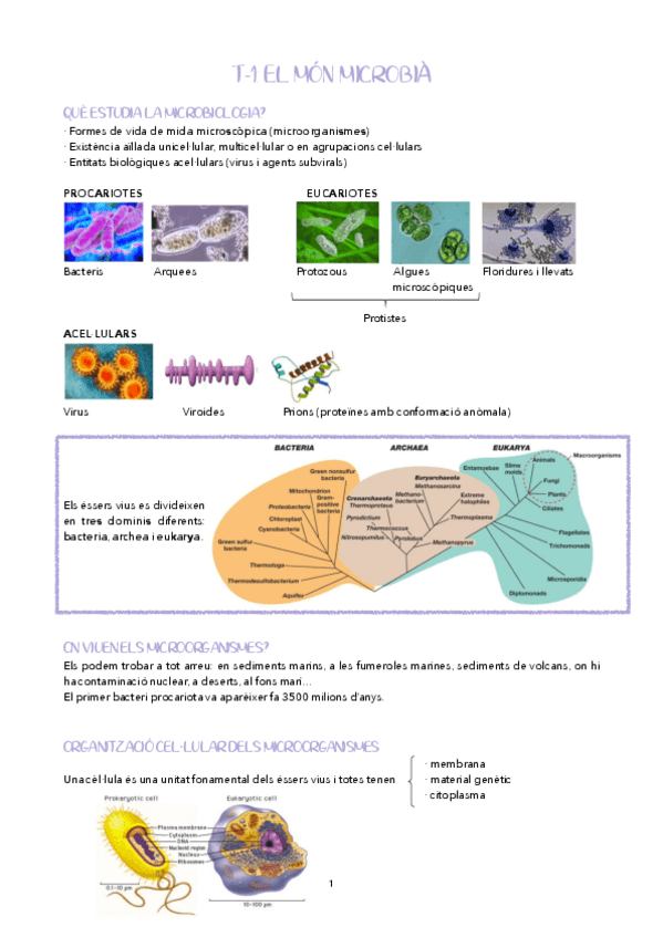Miniatura del documento BLOC-I-III.pdf