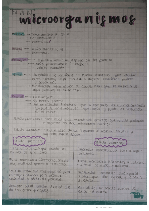 Miniatura del documento Microorganismos-1.pdf