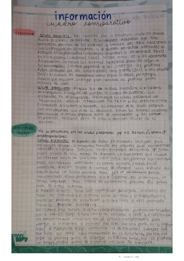 Miniatura del documento Informacion-de-organelos.pdf