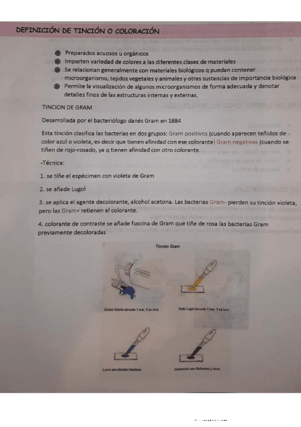 Miniatura del documento Tinciones-de-bacterias-1.pdf