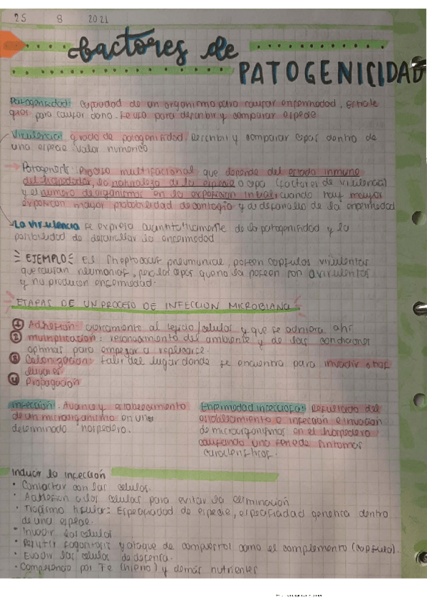 Miniatura del documento Factores-patogenicidad-en-bacterias-1.pdf