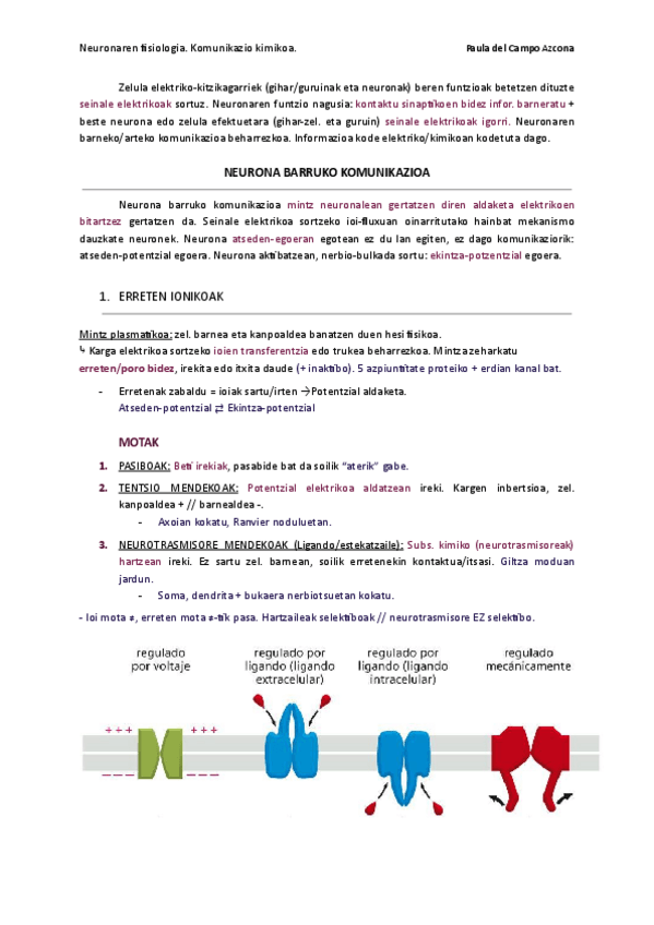 Miniatura del documento 2. Neuronaren fisiologia. 