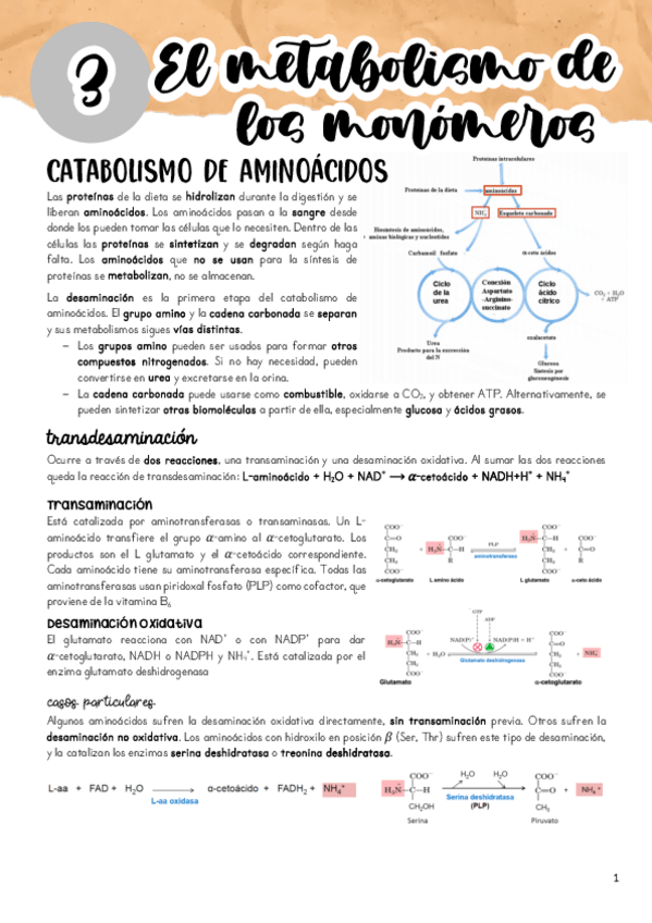 Miniatura del documento Tema-3.pdf