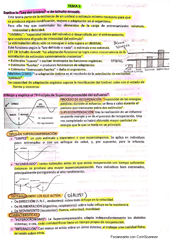 Miniatura del documento preguntas-examen-fundamentos-Alvaro.pdf