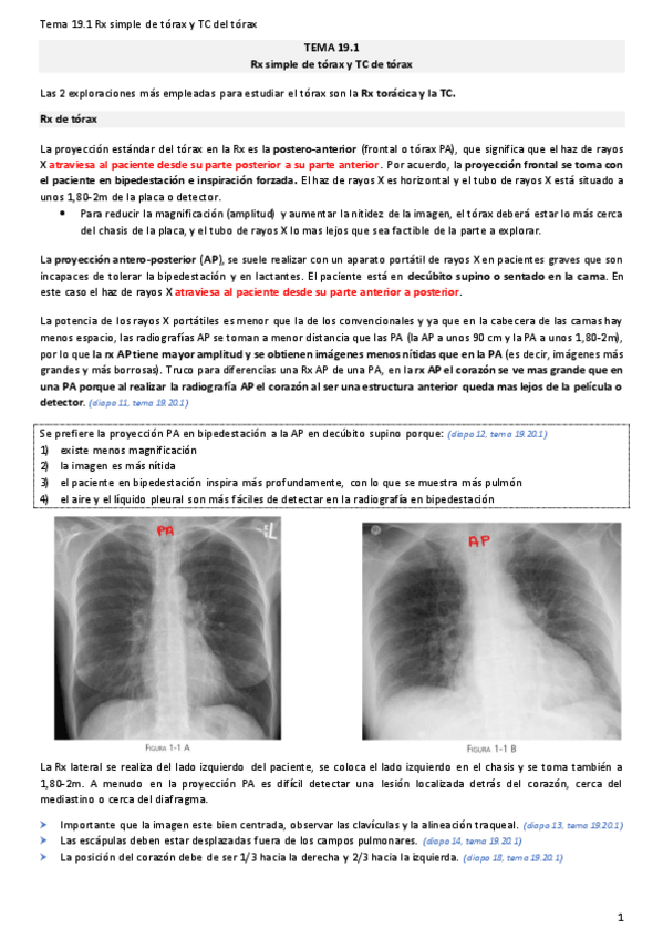 Miniatura del documento TEMA-19.pdf