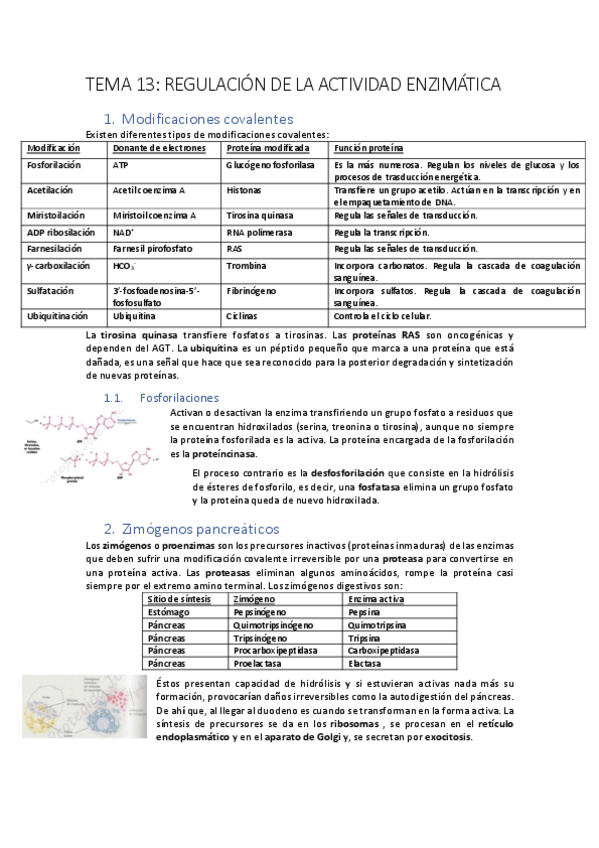 Miniatura del documento biomoltema13.pdf