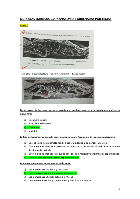 Miniatura del documento QUINIELAS-ANATOMIA-ORDENADAS-POR-TEMAS.pdf