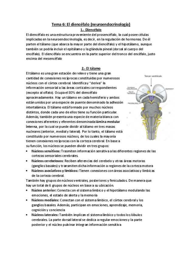 Miniatura del documento Diencefalo.pdf
