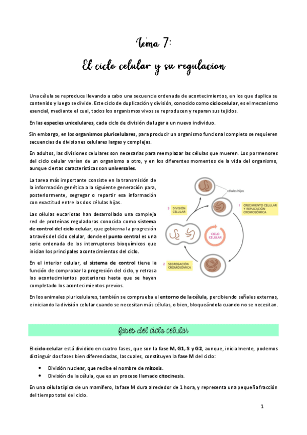 Miniatura del documento TEMA-7.pdf