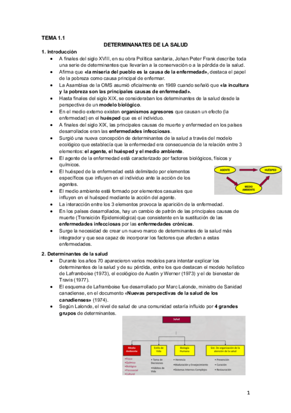 Miniatura del documento 1.1 Determinantes de la salud
