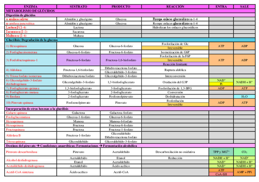 Miniatura del documento Tabla-enzimas.pdf