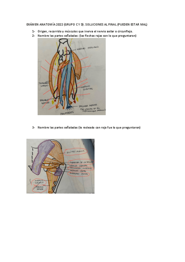 Miniatura del documento EXAMEN-ANATOMIA-2022.pdf