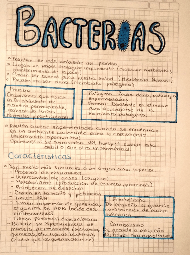 Miniatura del documento BACTERIAS.pdf