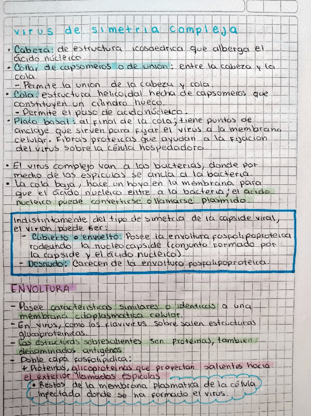 Miniatura del documento VIRUS-2.pdf