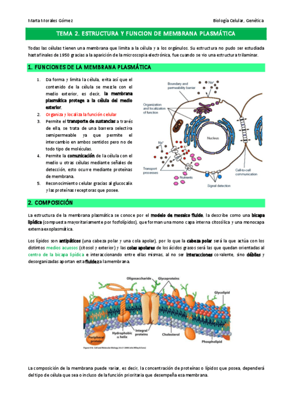 Miniatura del documento Tema-2.pdf