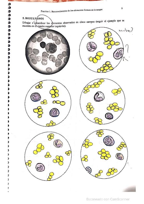 Miniatura del documento CamScanner-01-17-2022-23.pdf