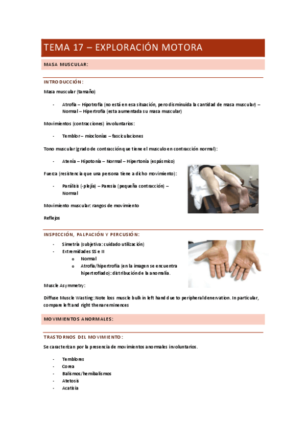 Miniatura del documento TEMA-17.pdf