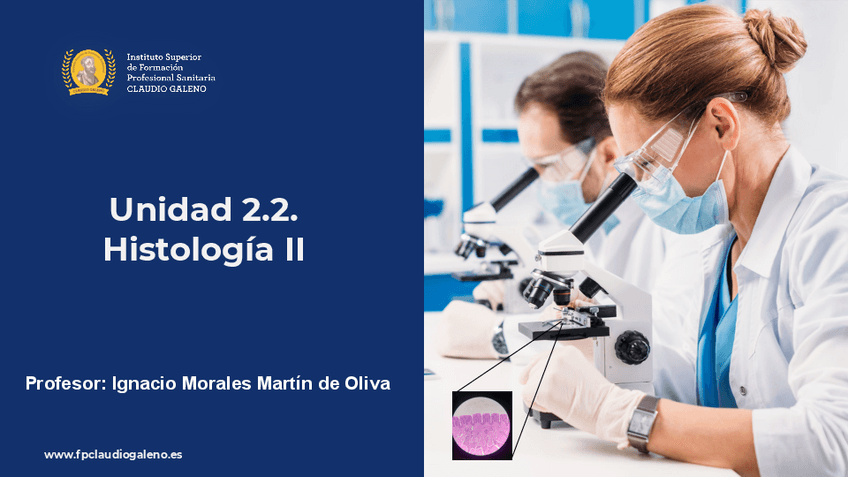 Miniatura del documento PresentaciAn-Tema-2.pdf