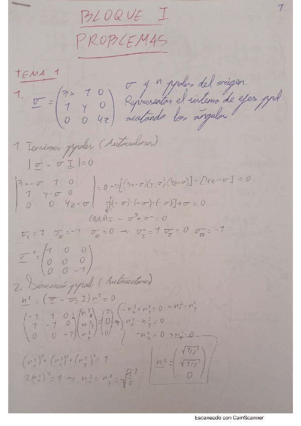 Miniatura del documento BLOQUE-1-PROBLEMAS.pdf