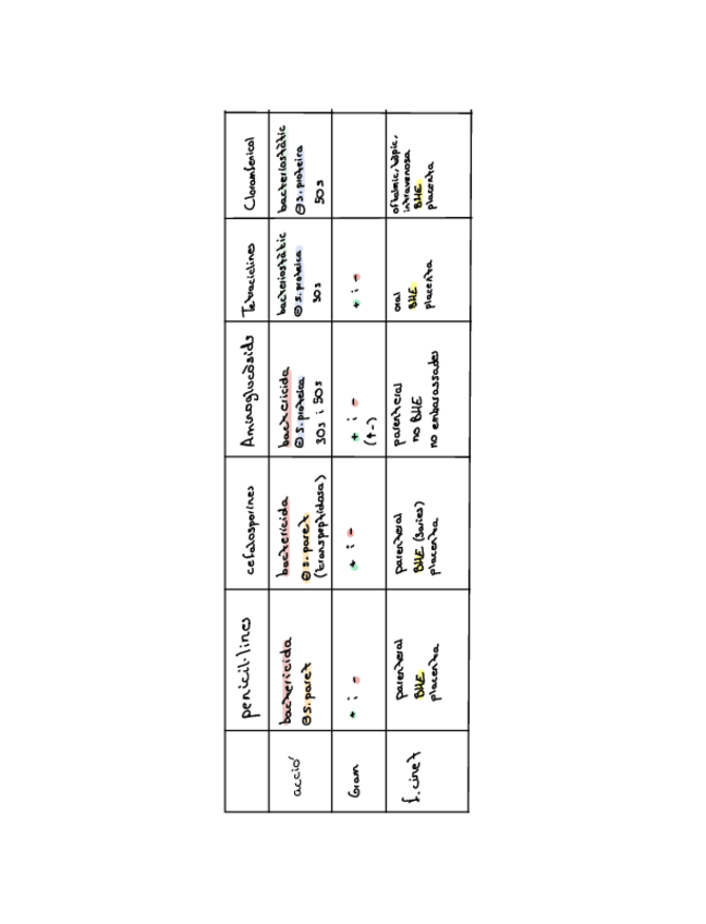 Miniatura del documento Esquema-antibiotics-.pdf