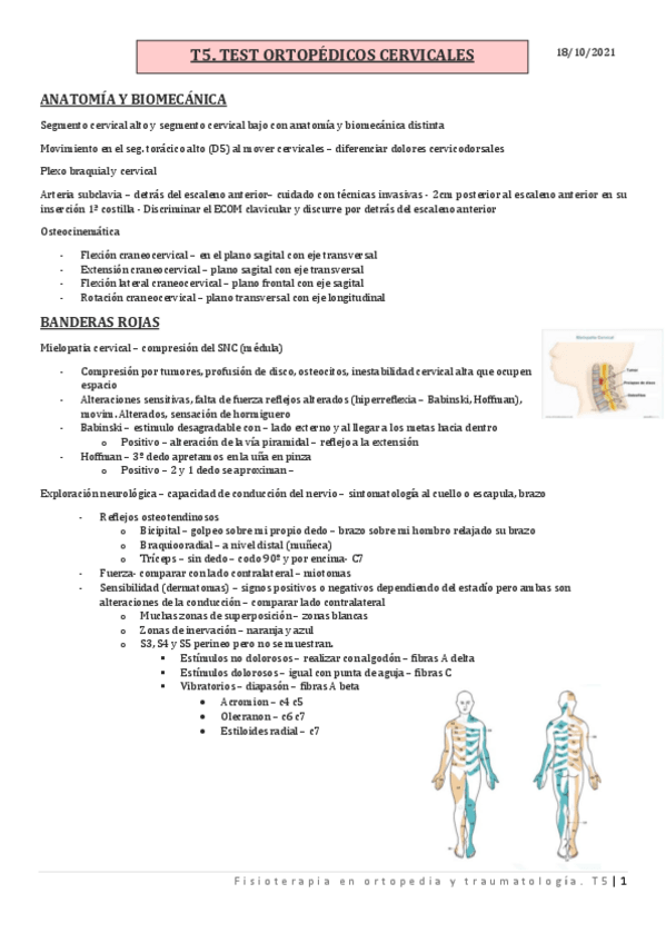 Miniatura del documento T5.pdf