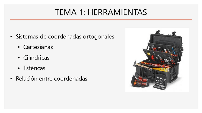 Miniatura del documento Diapositivas-Tema-1.pdf