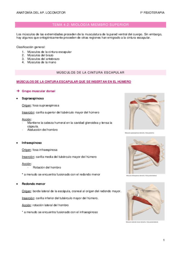 Miniatura del documento TEMA-4.pdf