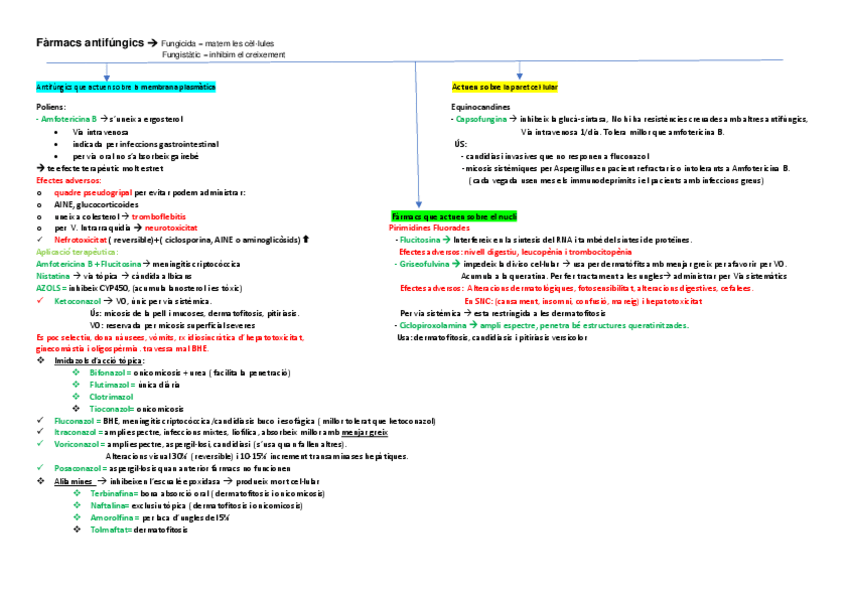 Miniatura del documento esquema-farmacs-antifungics-.pdf