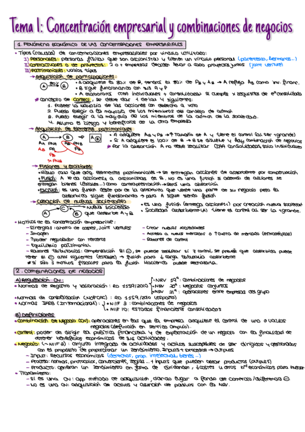 Miniatura del documento TemasCCN.pdf