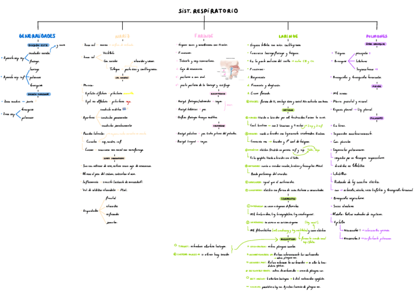 Miniatura del documento T12-Sist-Respiratorio1.pdf