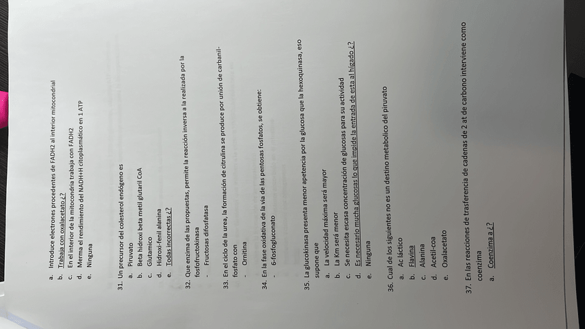 Miniatura del documento DCDFABB2-B3A6-4082-8C57-5E7AFA5EF603.jpg