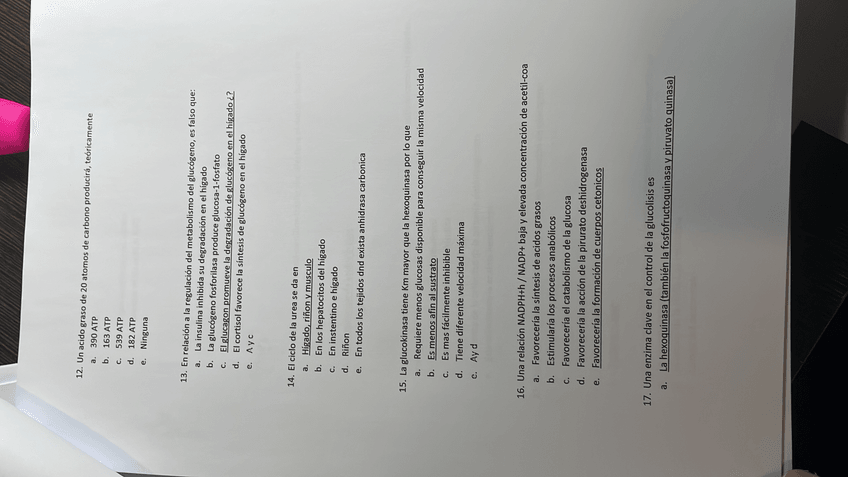 Miniatura del documento 06596841-CF94-4A44-A819-E63A70D8285C.jpg