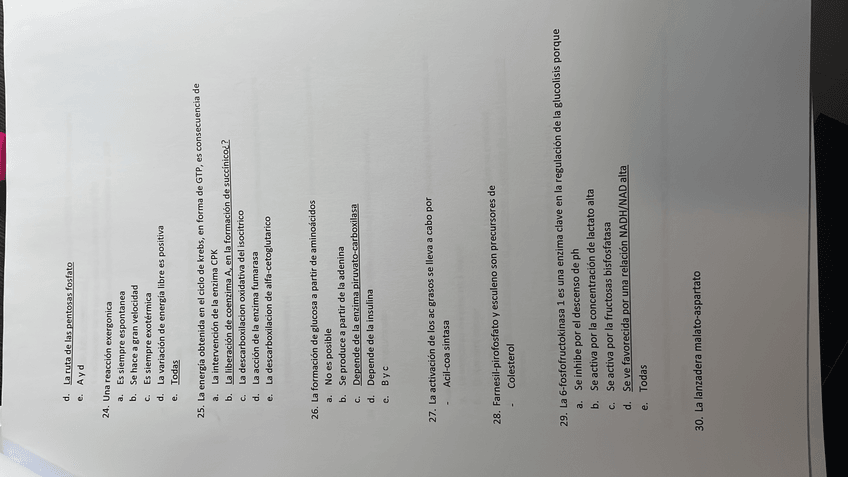 Miniatura del documento 483F3CD3-E4AB-4AAC-A520-725E2B2EFC3E.jpg