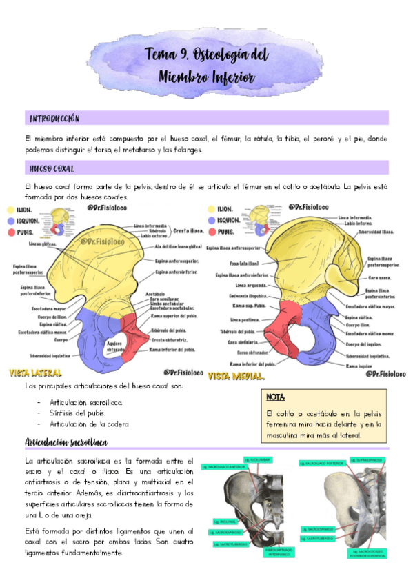 Miniatura del documento Tema-9.pdf