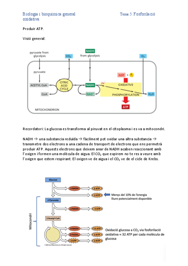 Miniatura del documento 4.pdf