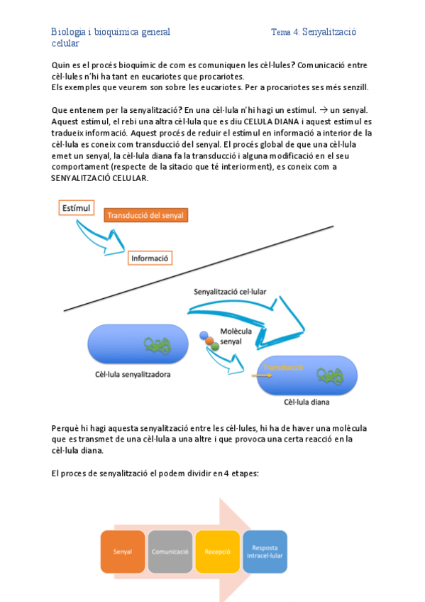 Miniatura del documento 3.pdf